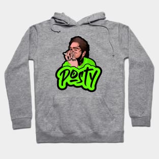 Post Malone  Fashionable Hoodie